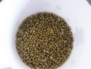 Bored of the usual way of making Paniyaram? Want to add nutrients and still make it taste yummy? Check out our Sprouted Green Gram Sweet Paniyaram recipe.