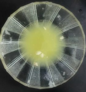 Want to fill your kid's lunchbox with a healthy yet yummy snack & amaze your child? Check out our simple recipe for Muffins with wheat flour and palm sugar.