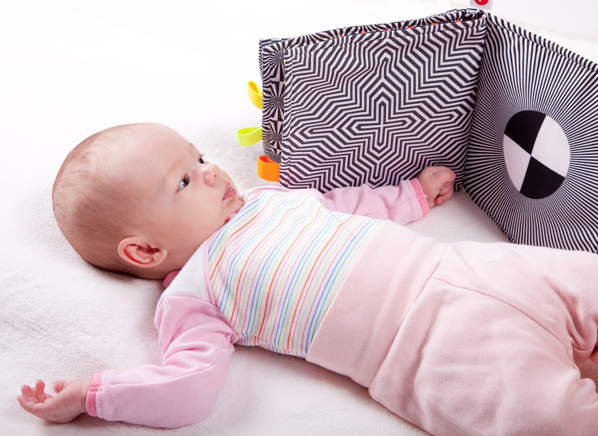 Wondering which books can be introduced to your newborn? Black and White baby books are ideal for young infants. Check out the best books in this category.